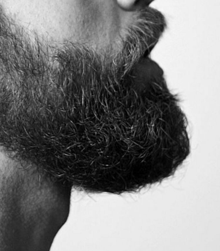 Velour Beard Oil lifestyle