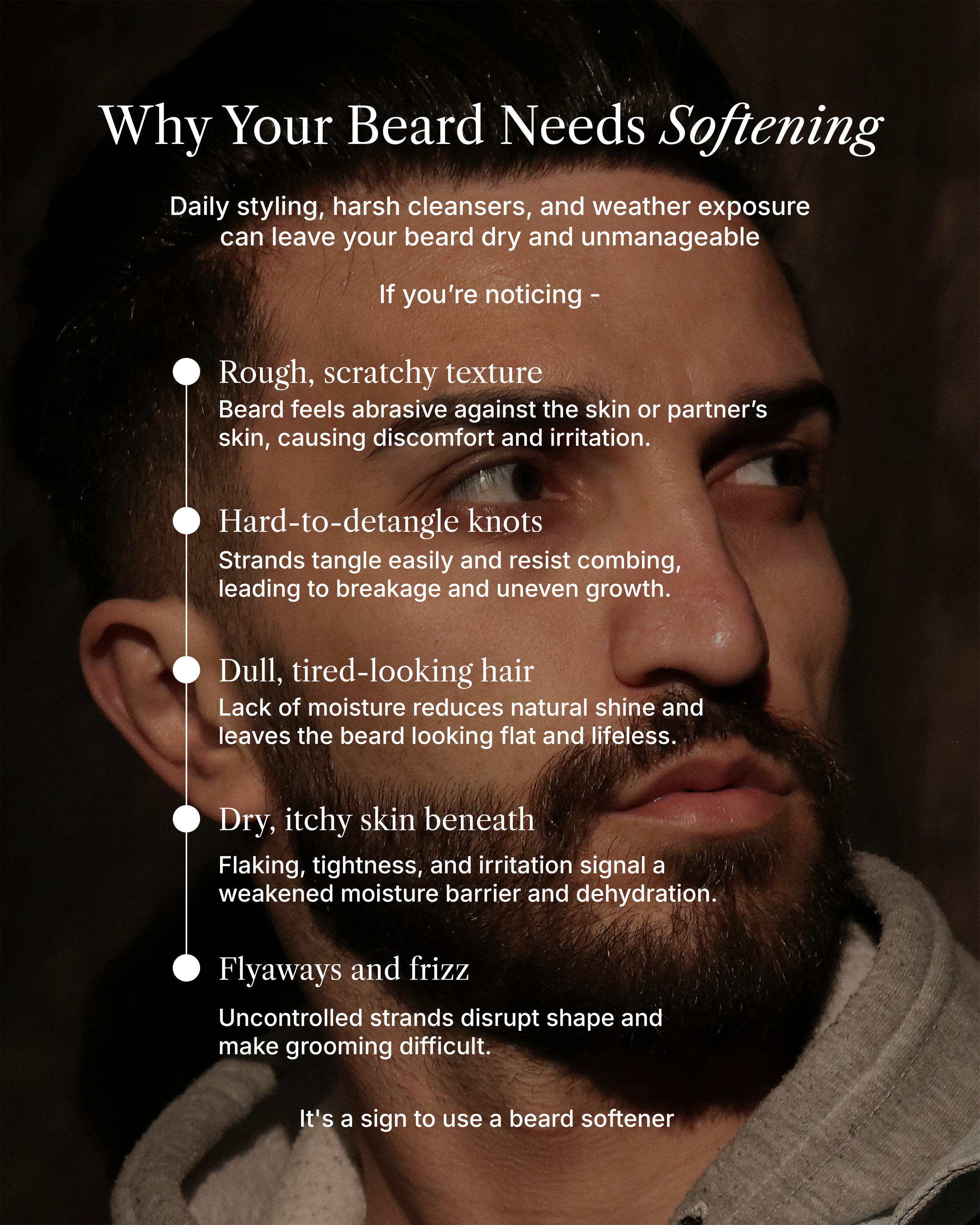 Repose Beard Softener