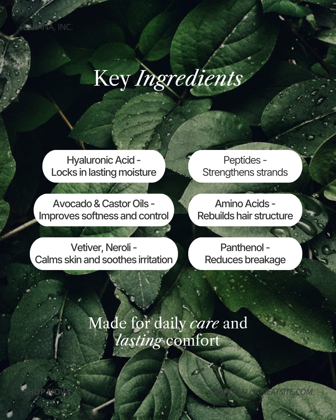 Repose Beard Softener