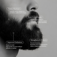 Forma Sculpting Beard Balm