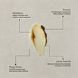 Forma Sculpting Beard Balm